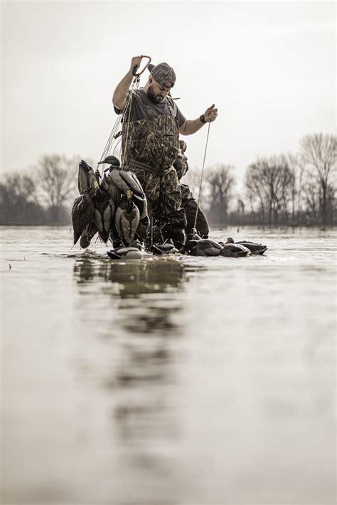 quax waterfowl